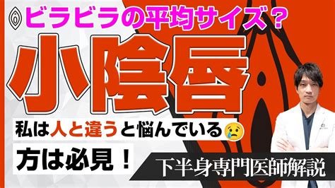 ビラビラ 黒い|女性器（大陰唇・小陰唇）の黒ずみでお悩みの方必見！原因と対。